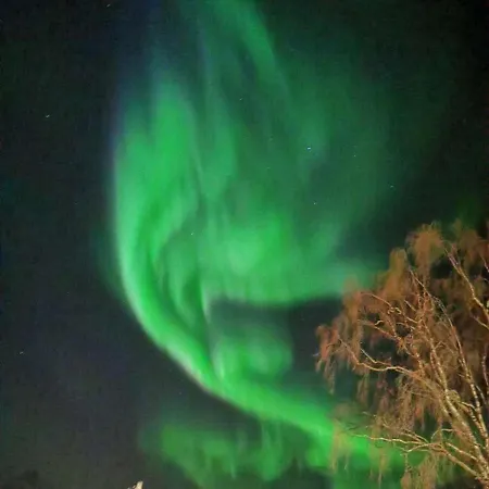 Koselig Overnattingssted Med Fjordutsikt Sjovegan Exterior photo
